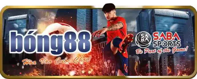 Cá cược trực tiếp và tỷ lệ cược cạnh tranh